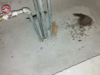 射阳卫生间测漏水价格明细