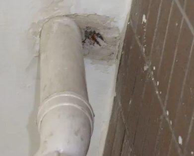 射阳漏水检测哪家好